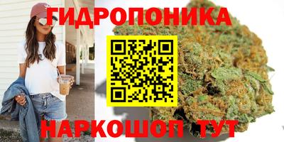 ПСИЛОЦИБИНОВЫЕ ГРИБЫ Моздок